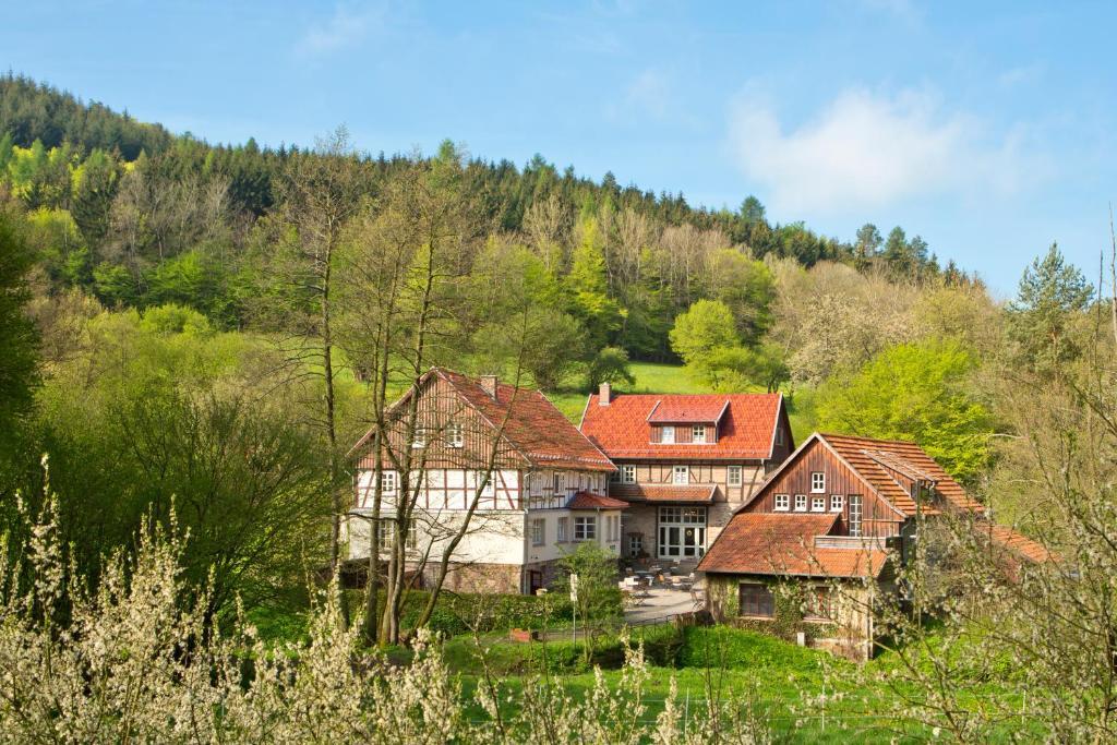Romantik Hotel Landhaus Baerenmuehle Frankenau Luaran gambar